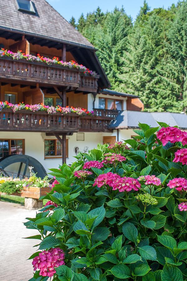 Hotel Tannenmühle Grafenhausen Exterior foto